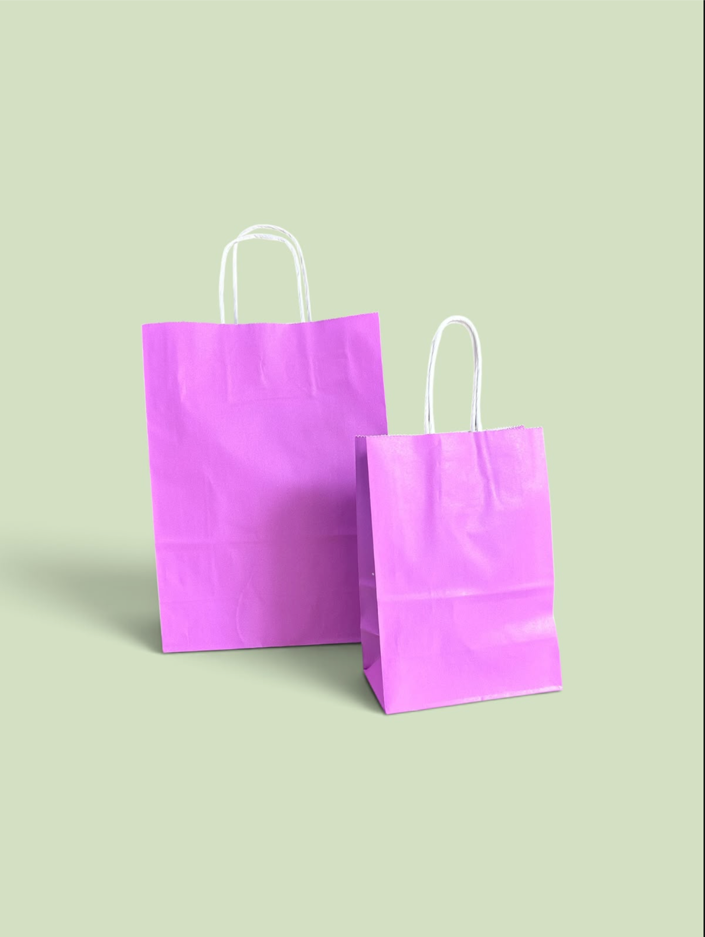 Bolsa de Papel con Manilla