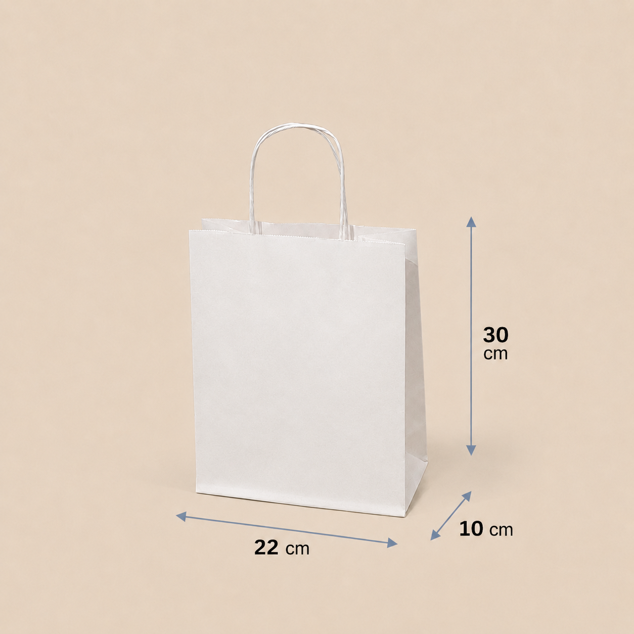 Bolsa de Papel con Manilla