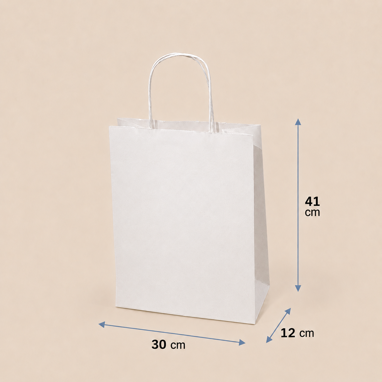 Bolsa de Papel con Manilla