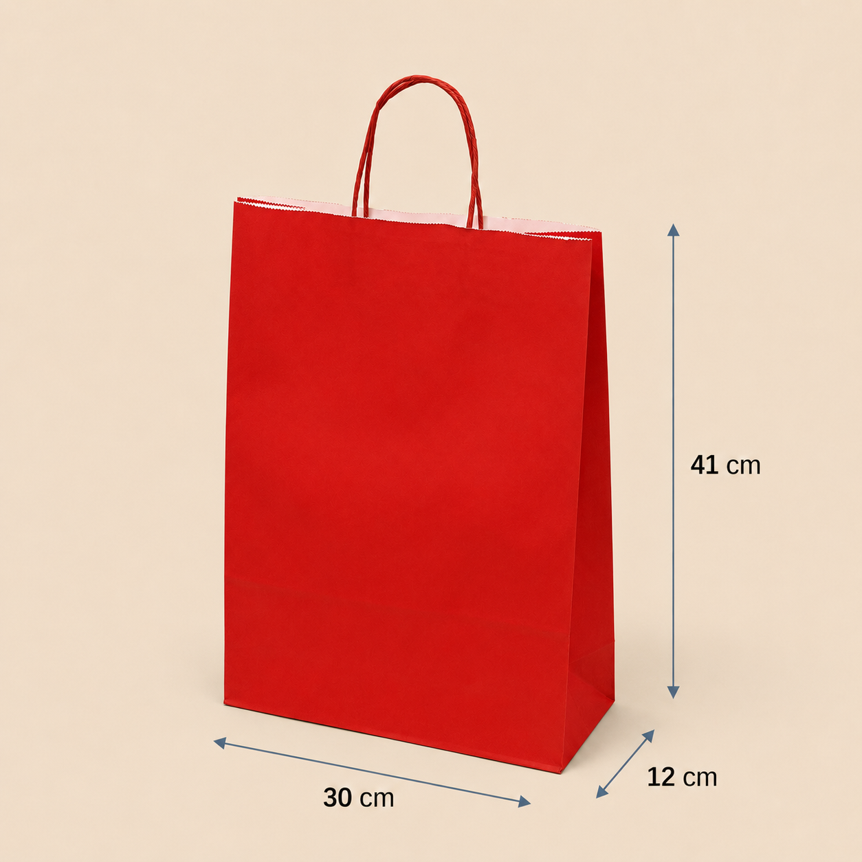 Bolsa de Papel con Manilla