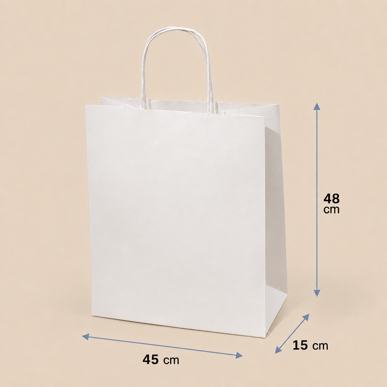 Bolsa de Papel con Manilla