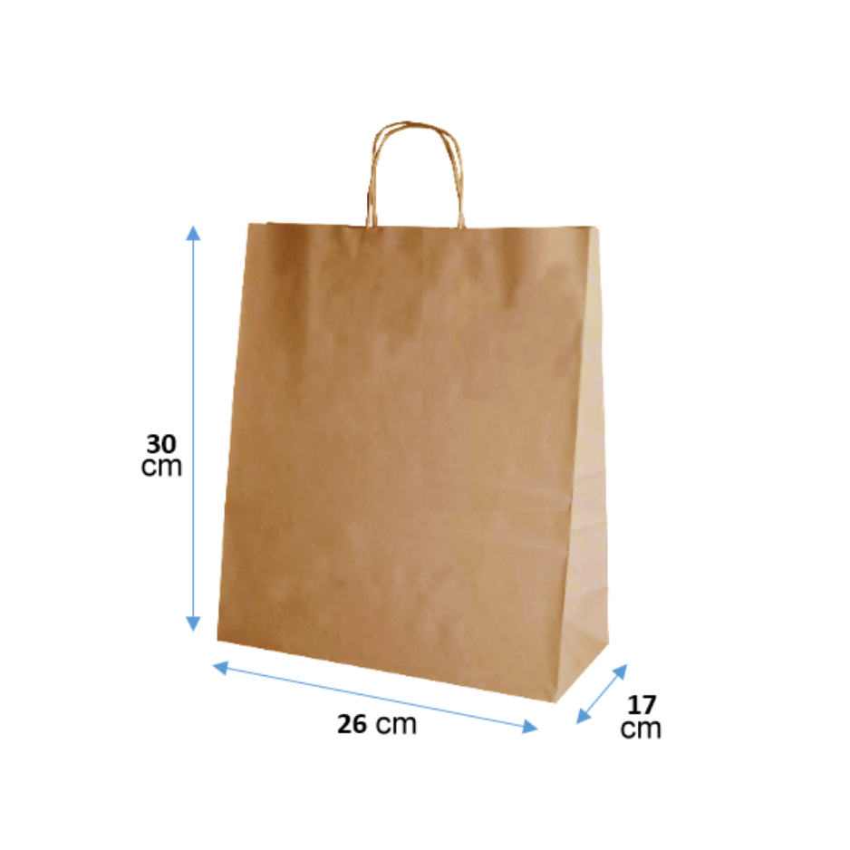 Bolsa de Papel con Manilla