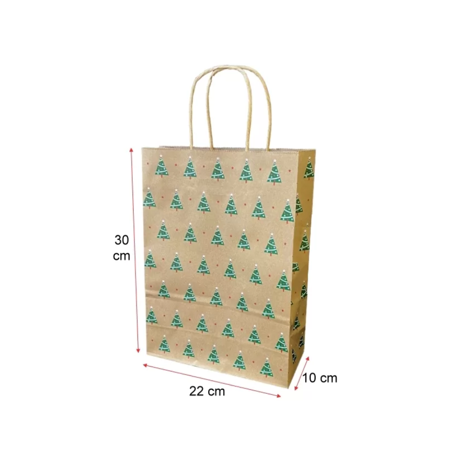 Bolsa de Papel con Manilla