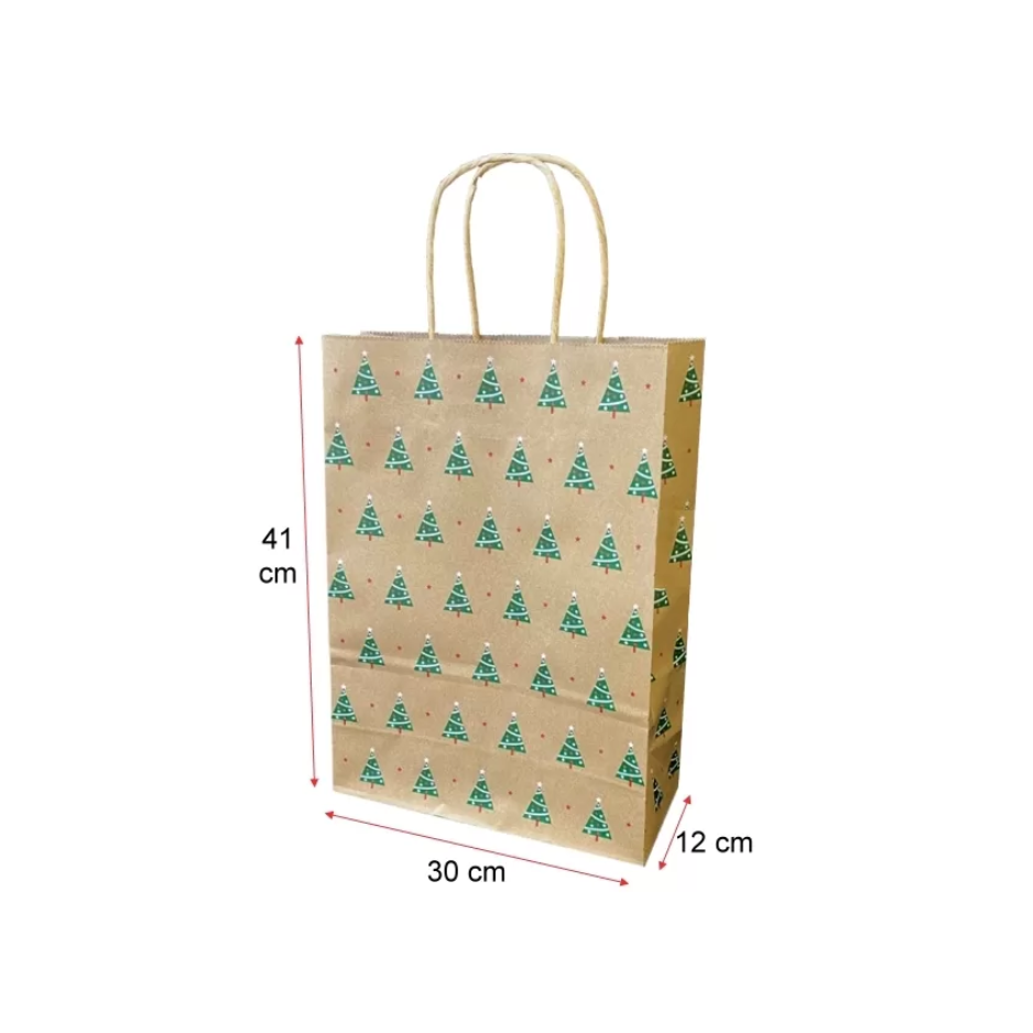 Bolsa de Papel con Manilla