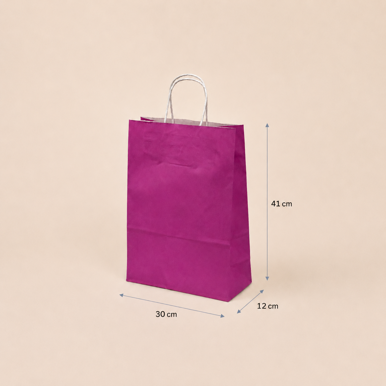 Bolsa de Papel con Manilla