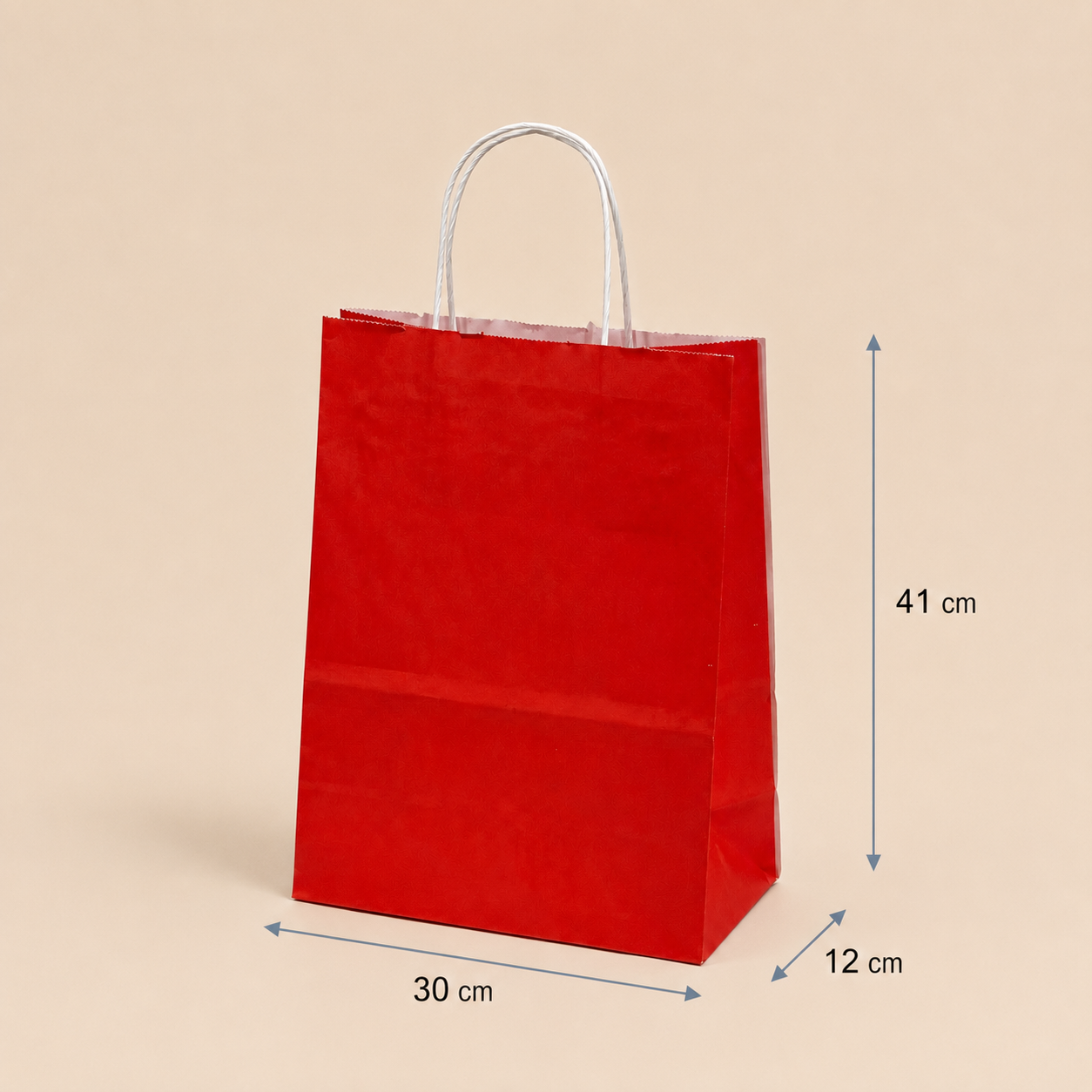 Bolsa de Papel con Manilla