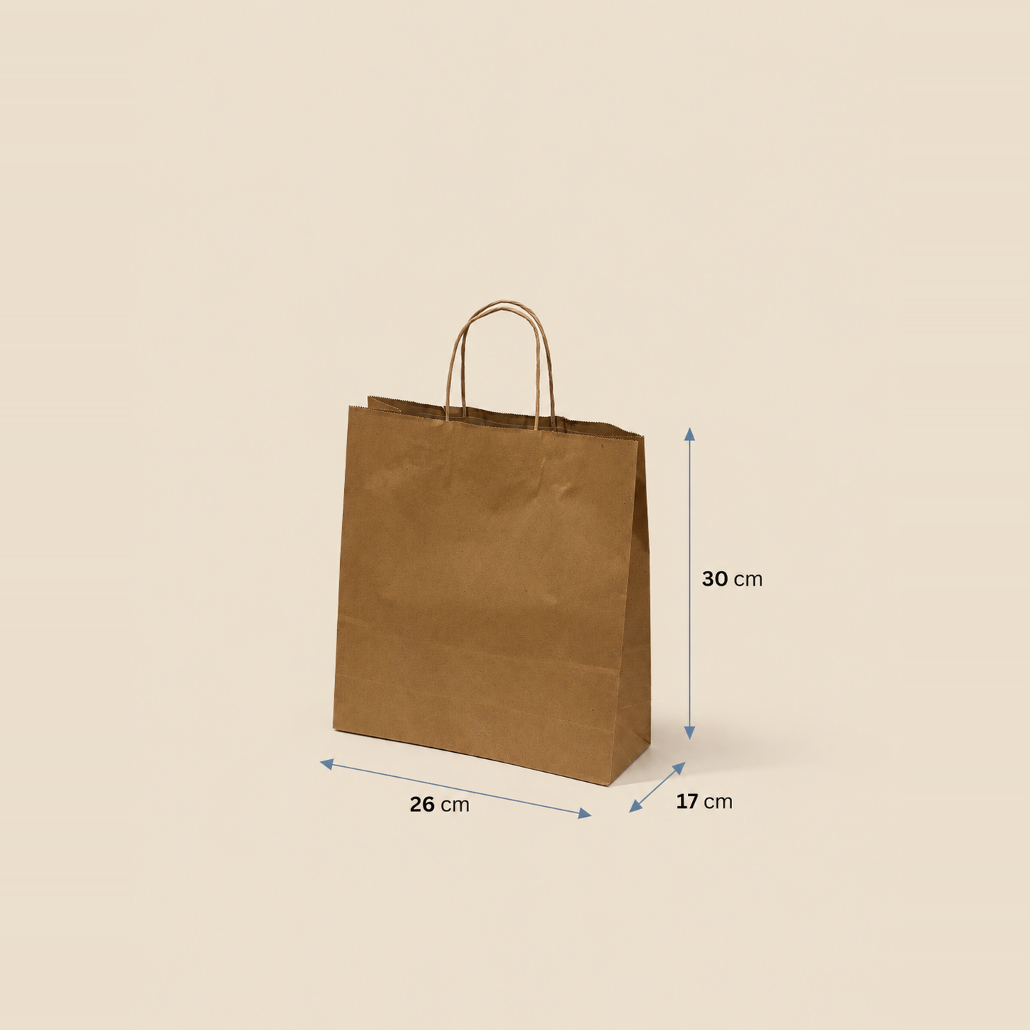 Bolsa de Papel con Manilla