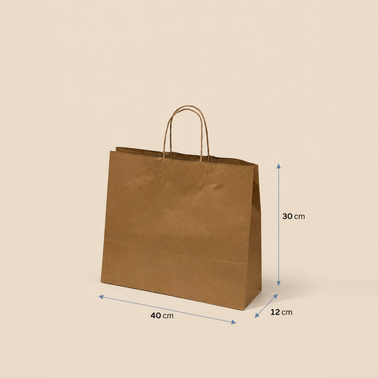 Bolsa de Papel con Manilla