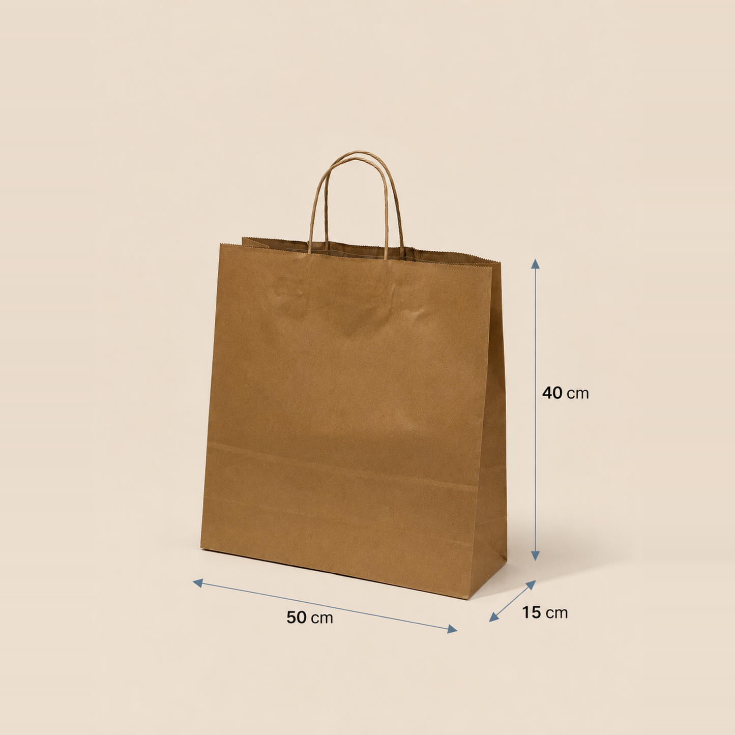 Bolsa de Papel con Manilla